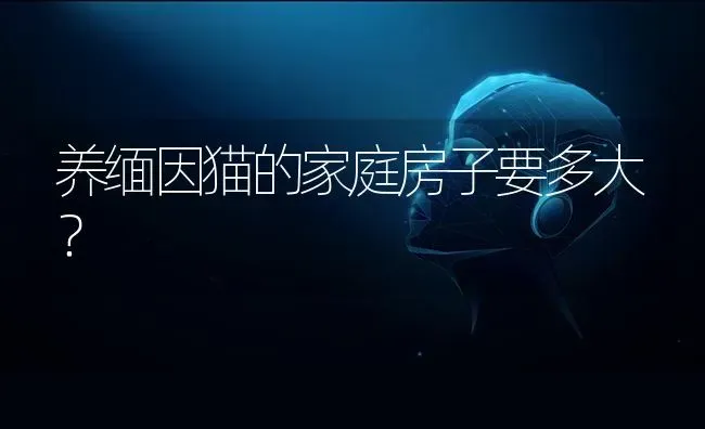 汪汪队黑白色的狗狗叫什么名字？ | 动物养殖问答