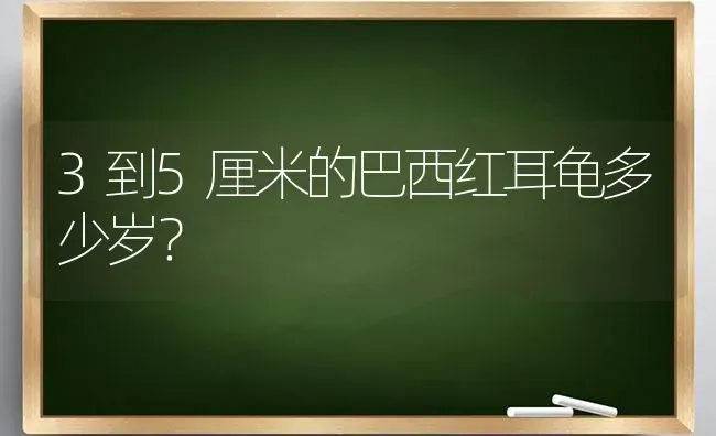 3到5厘米的巴西红耳龟多少岁？ | 动物养殖问答