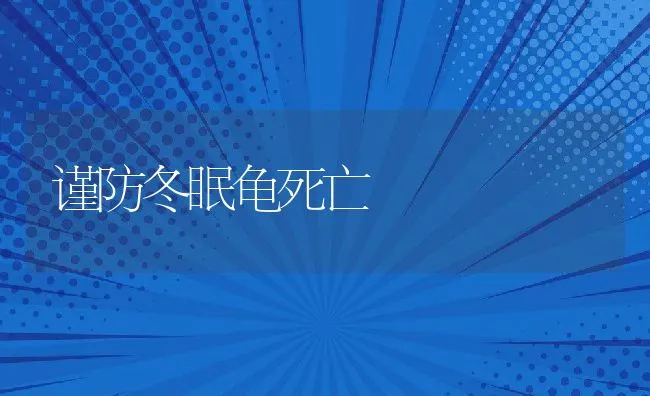 谨防冬眠龟死亡 | 动物养殖饲料