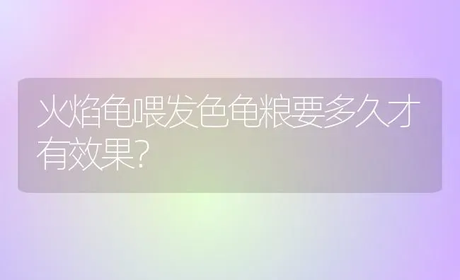 泰迪的祖先是狼吗？长得一点都不像？ | 动物养殖问答