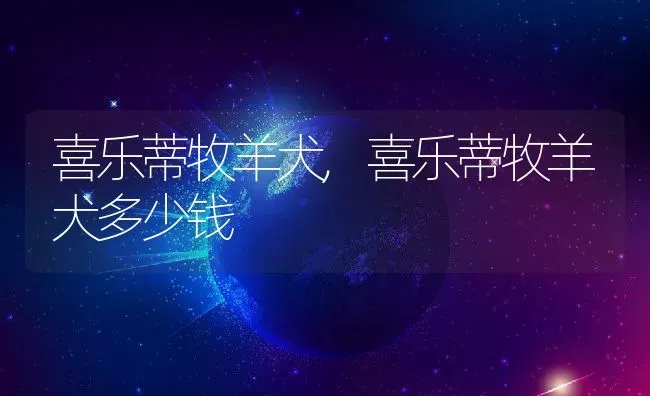 长癣了怎么办,脸上长癣了怎么办 | 宠物百科知识