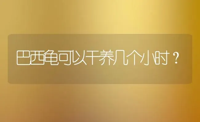 巴西龟可以干养几个小时？ | 动物养殖问答