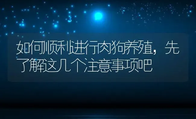 如何顺利进行肉狗养殖，先了解这几个注意事项吧 | 动物养殖百科