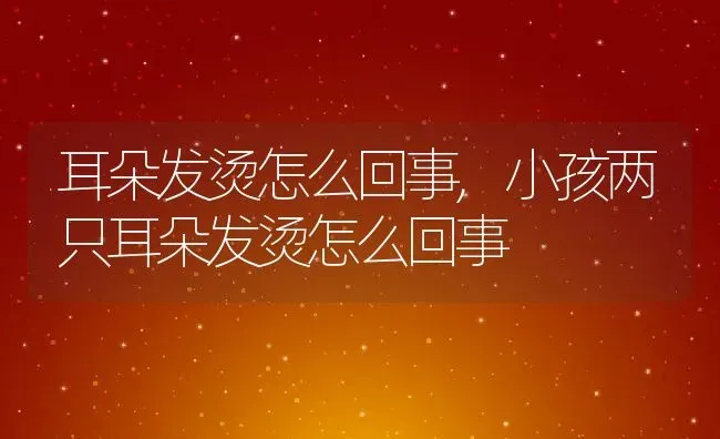 耳朵发烫怎么回事,小孩两只耳朵发烫怎么回事 | 宠物百科知识