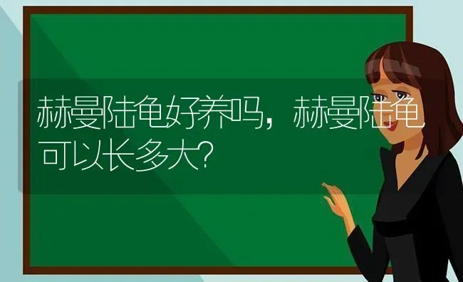 赫曼陆龟好养吗，赫曼陆龟可以长多大？ | 动物养殖问答