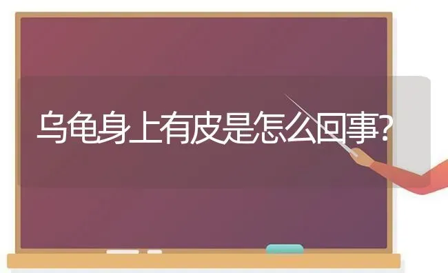 乌龟身上有皮是怎么回事？ | 动物养殖问答