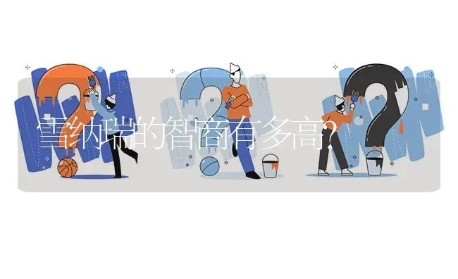 雪纳瑞的智商有多高？ | 动物养殖问答