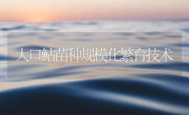 大口鲇苗种规模化繁育技术 | 海水养殖技术