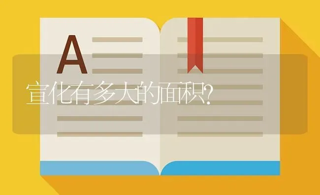 宣化有多大的面积？ | 鱼类宠物饲养