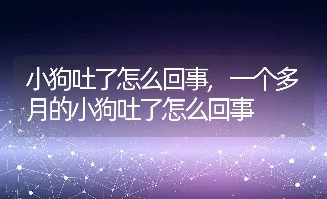 小狗吐了怎么回事,一个多月的小狗吐了怎么回事 | 宠物百科知识