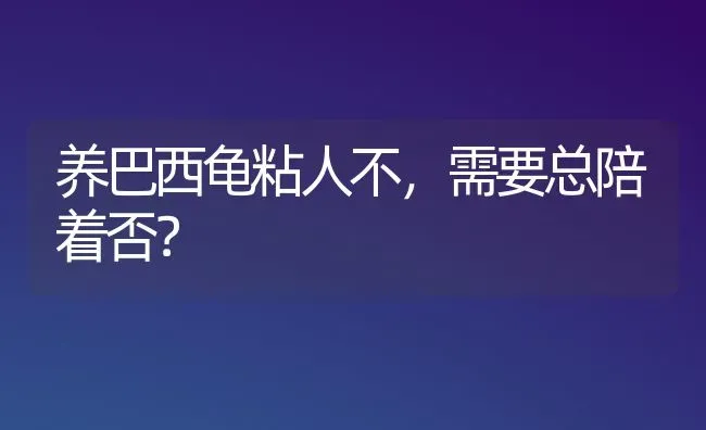 卷毛比熊和普通比熊区别？ | 动物养殖问答