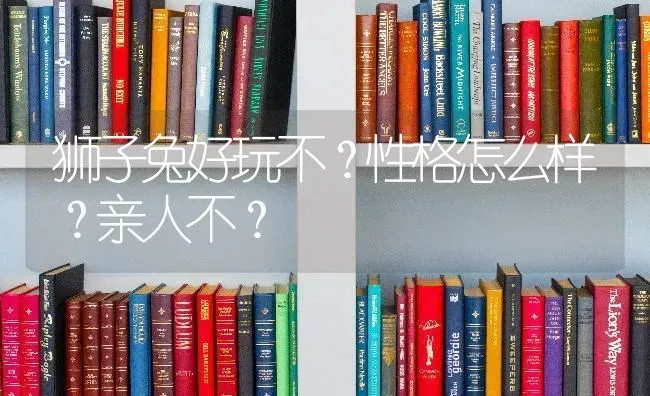 狮子兔好玩不？性格怎么样？亲人不？ | 动物养殖问答