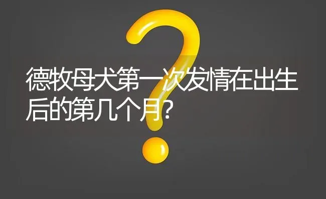 德牧母犬第一次发情在出生后的第几个月？ | 动物养殖问答