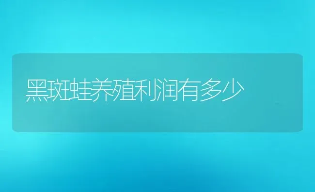 黑斑蛙养殖利润有多少 | 动物养殖百科