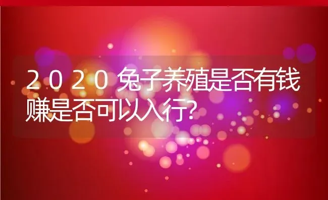 2020兔子养殖是否有钱赚是否可以入行？ | 动物养殖百科