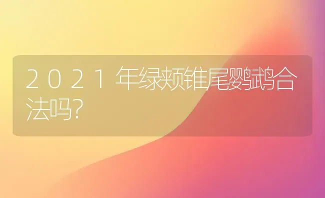 2021年绿颊锥尾鹦鹉合法吗？ | 动物养殖问答