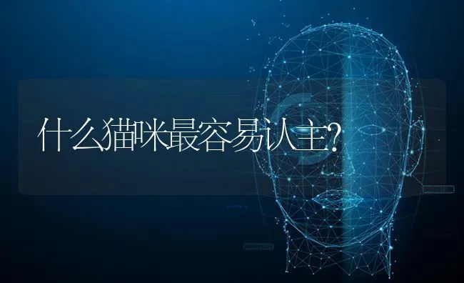 什么猫咪最容易认主？ | 动物养殖问答