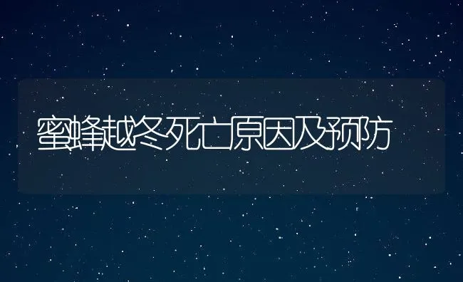 蜜蜂越冬死亡原因及预防 | 动物养殖学堂