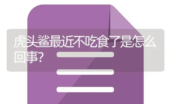 虎头鲨最近不吃食了是怎么回事？ | 鱼类宠物饲养