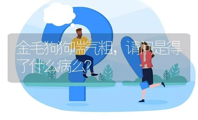 金毛狗狗喘气粗，请问是得了什么病么？ | 动物养殖问答