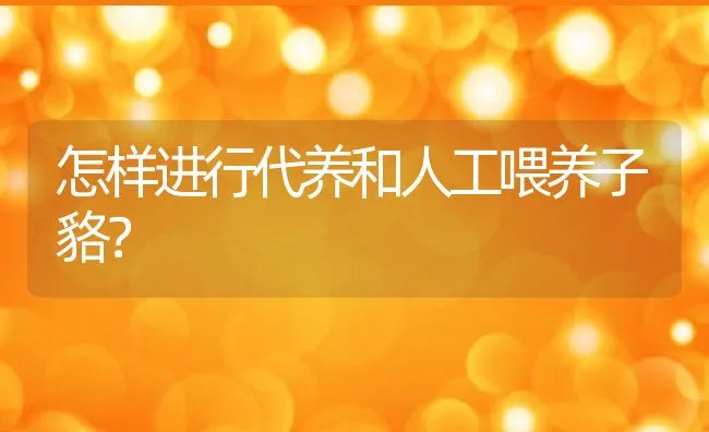 怎样进行代养和人工喂养子貉？ | 水产养殖知识