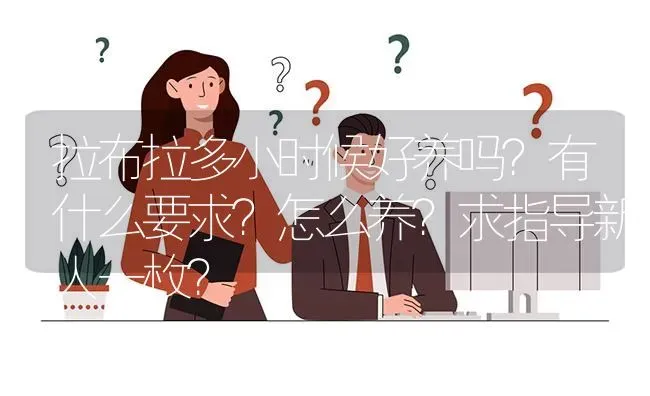 拉布拉多小时候好养吗？有什么要求？怎么养？求指导新人一枚？ | 动物养殖问答