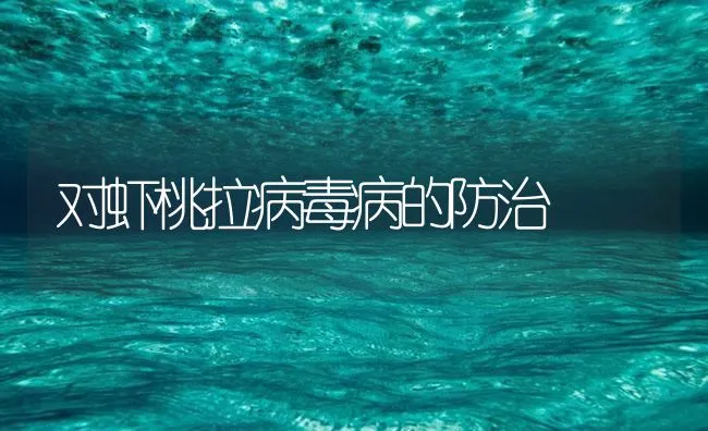 对虾桃拉病毒病的防治 | 海水养殖技术