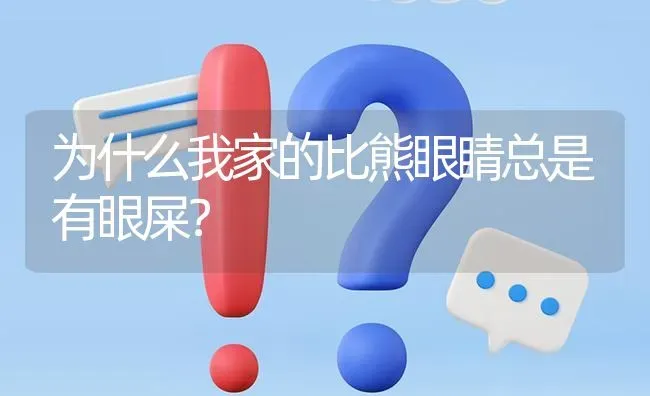 为什么我家的比熊眼睛总是有眼屎？ | 动物养殖问答