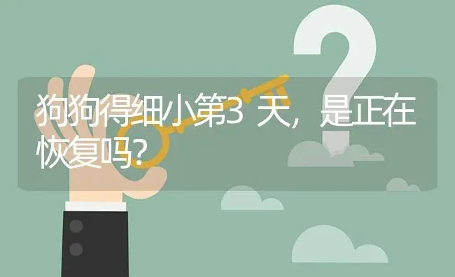 狗狗得细小第3天，是正在恢复吗？ | 动物养殖问答