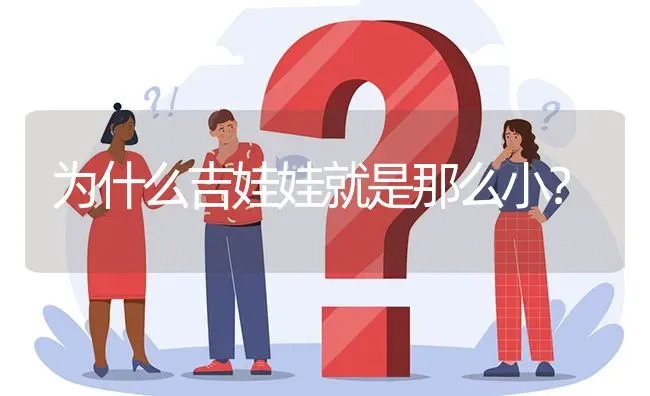 为什么吉娃娃就是那么小？ | 动物养殖问答