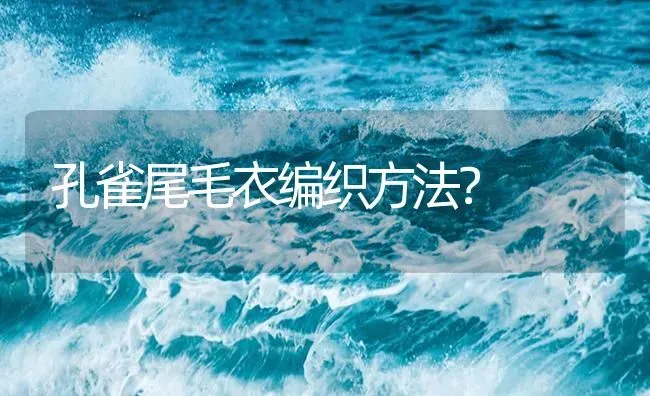 孔雀尾毛衣编织方法？ | 鱼类宠物饲养