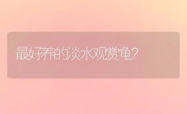 最好养的淡水观赏龟？ | 动物养殖问答