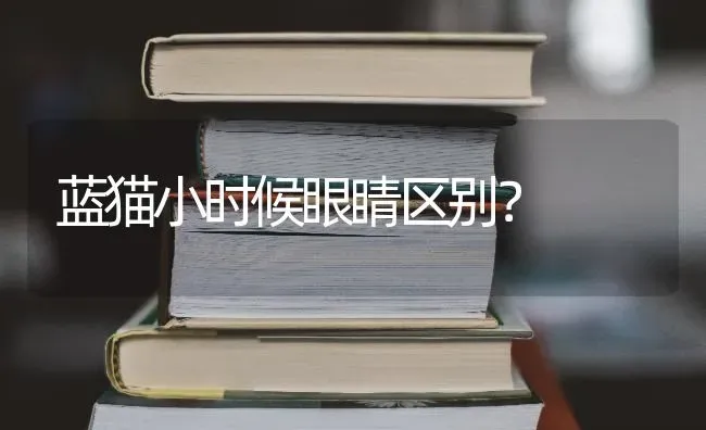 吉娃娃100元一只，贵不贵？ | 动物养殖问答