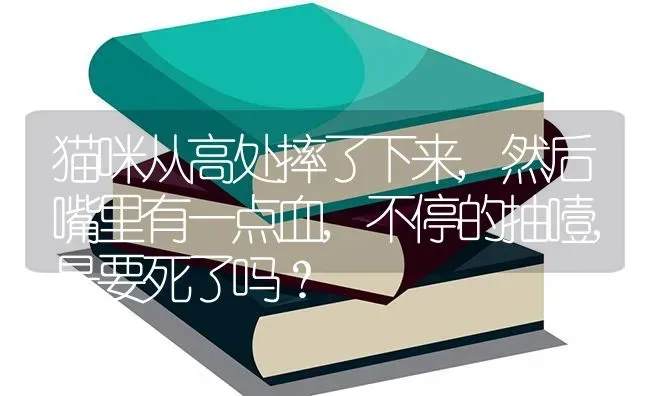 猫咪从高处摔了下来,然后嘴里有一点血,不停的抽噎,是要死了吗？ | 动物养殖问答