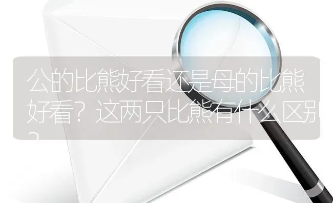 各位高手能不能告诉我黑背和狼青的区别，从外观上怎么能区分，还有颜色与形态上怎么区分？ | 动物养殖问答