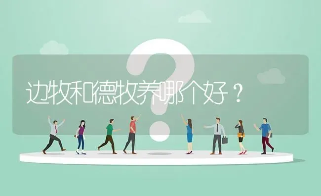 边牧和德牧养哪个好？ | 动物养殖问答