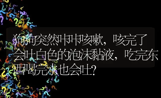 狗狗突然咔咔咳嗽，咳完了会吐白色的泡沫黏液，吃完东西喝完水也会吐？ | 动物养殖问答