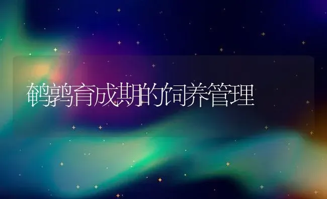 鹌鹑育成期的饲养管理 | 动物养殖教程