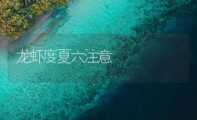 龙虾度夏六注意 | 海水养殖技术