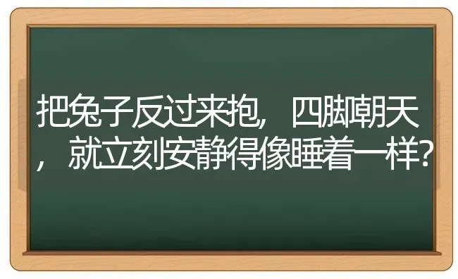 把兔子反过来抱,四脚朝天,就立刻安静得像睡着一样？ | 动物养殖问答