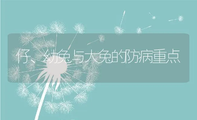 仔、幼兔与大兔的防病重点 | 动物养殖学堂