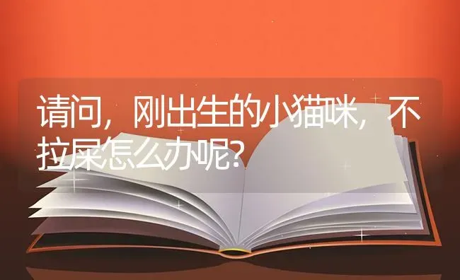 请问，刚出生的小猫咪，不拉屎怎么办呢？ | 动物养殖问答