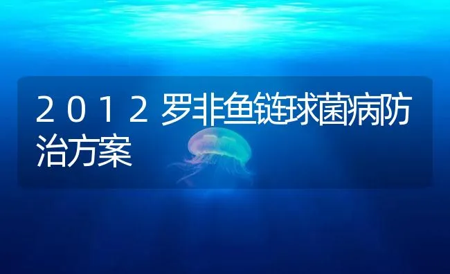 2012罗非鱼链球菌病防治方案 | 海水养殖技术