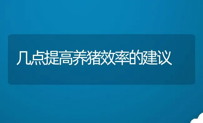 几点提高养猪效率的建议 | 动物养殖饲料