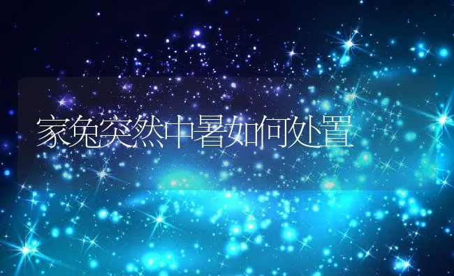 家兔突然中暑如何处置 | 动物养殖学堂