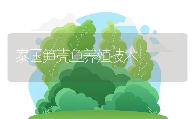 庭院高密度养甲鱼技术 | 动物养殖饲料