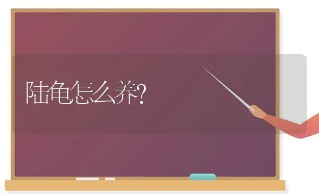 我家小体比熊怎么不会汪汪叫？ | 动物养殖问答