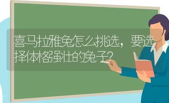 喜马拉雅兔怎么挑选，要选择体格强壮的兔子？ | 动物养殖问答