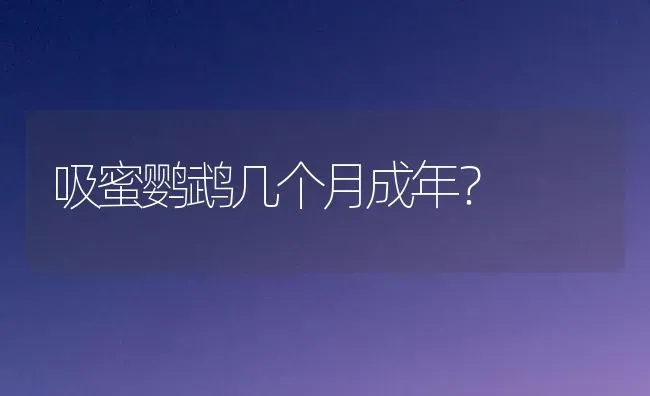 吸蜜鹦鹉几个月成年？ | 动物养殖问答