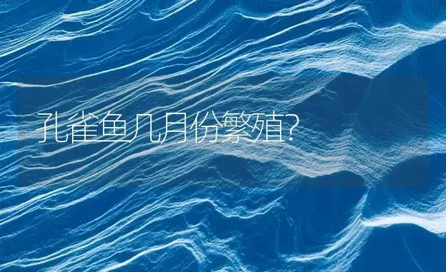 孔雀鱼几月份繁殖？ | 鱼类宠物饲养